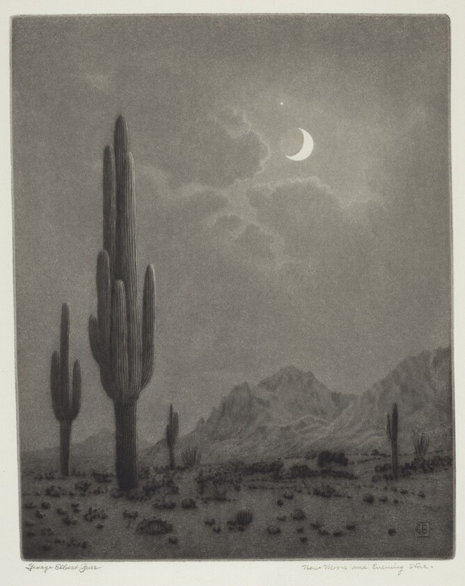 New Moon and Evening Star