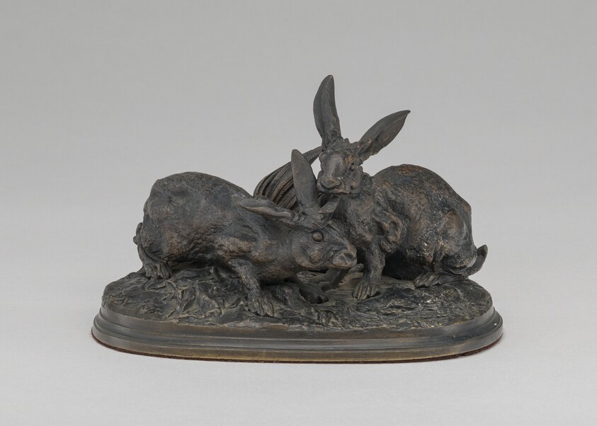 Group of Rabbits