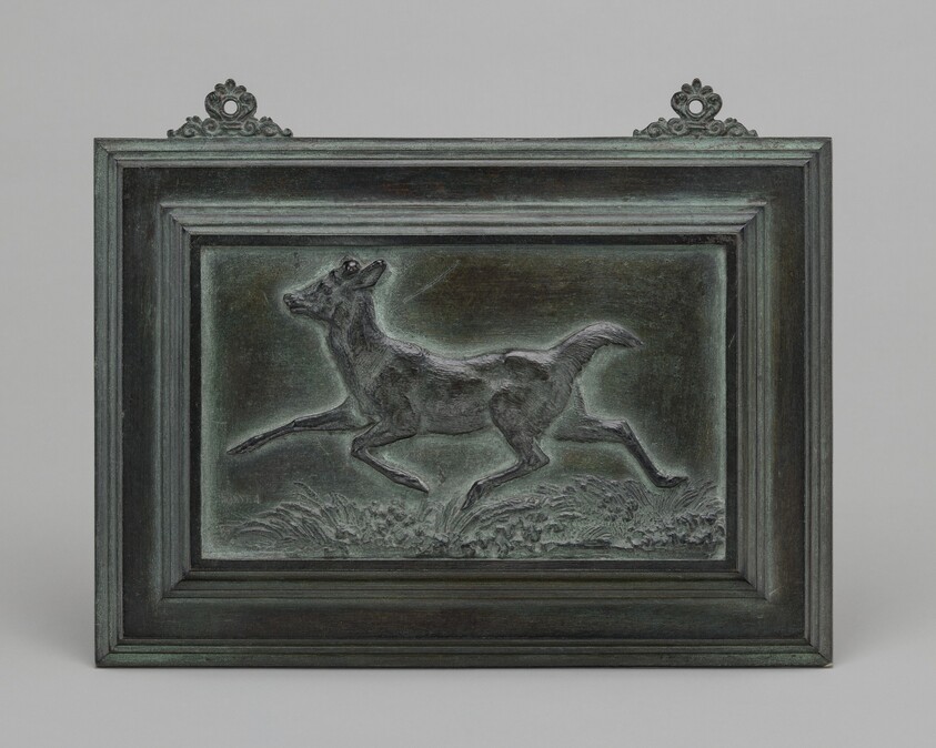 Virginia Deer