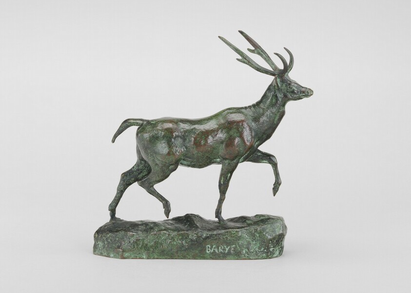 Virginia Deer, Left Foot Raised