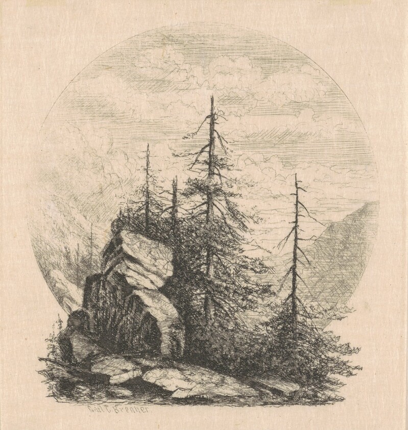 Pines