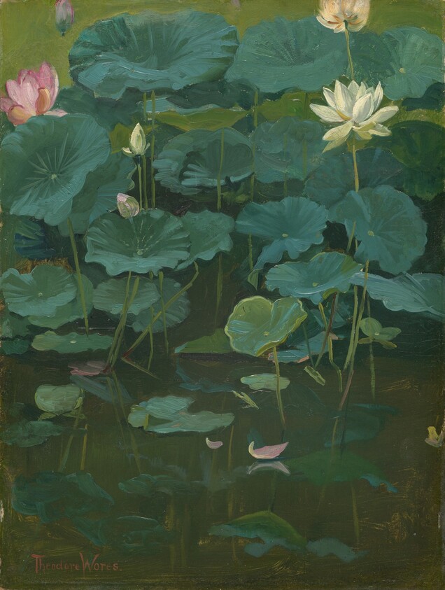Buddha's Flowers: Lotus, Tokyo