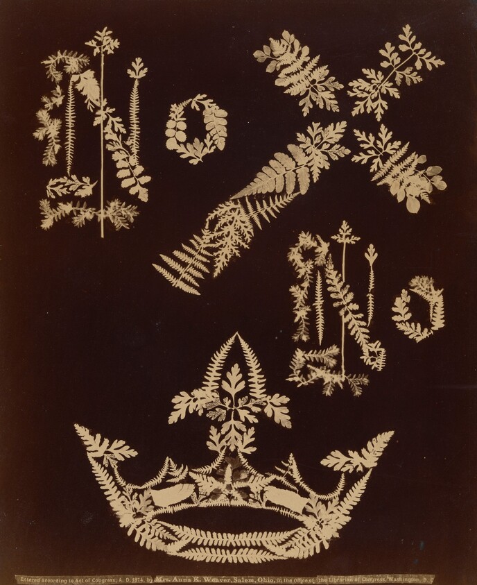 No Cross, No Crown