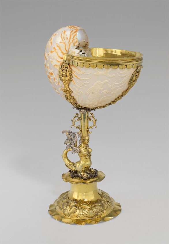 Nautilus Cup