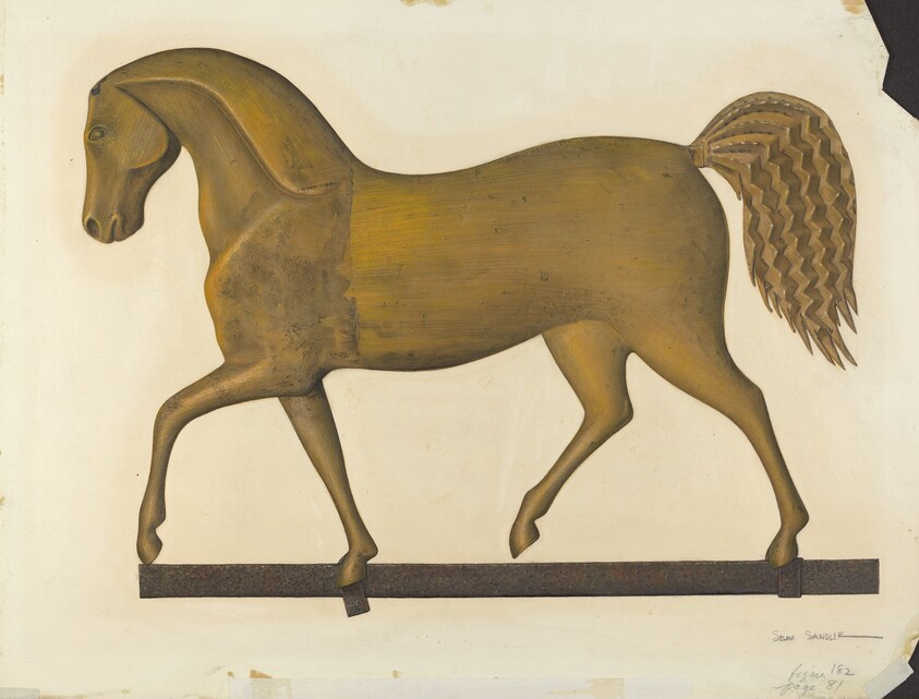 horse