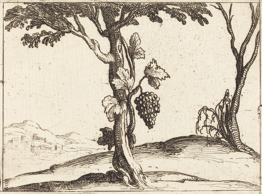 Bunch of Grapes