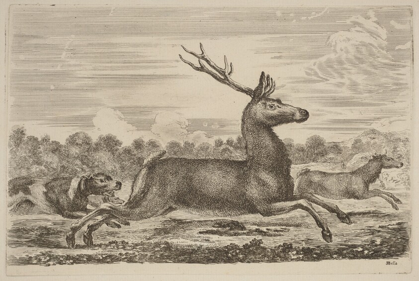 Deer Chased by Two Dogs to the Left