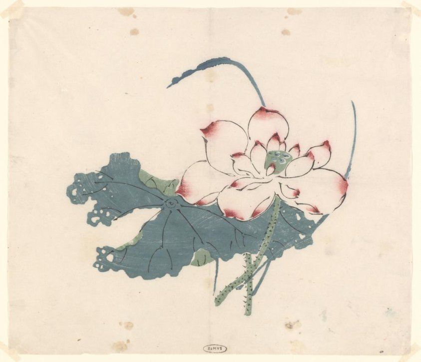 Lotus