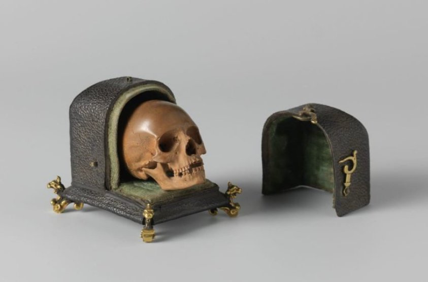 Skull with case