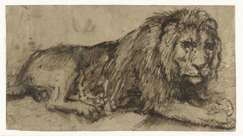 Reclining Lion