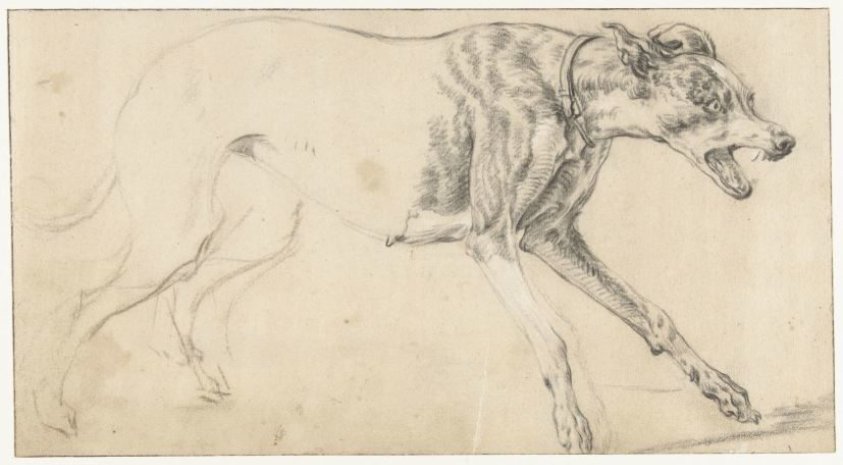 Running Dog / Verso: Fragment of a Study, Probably of an Animal