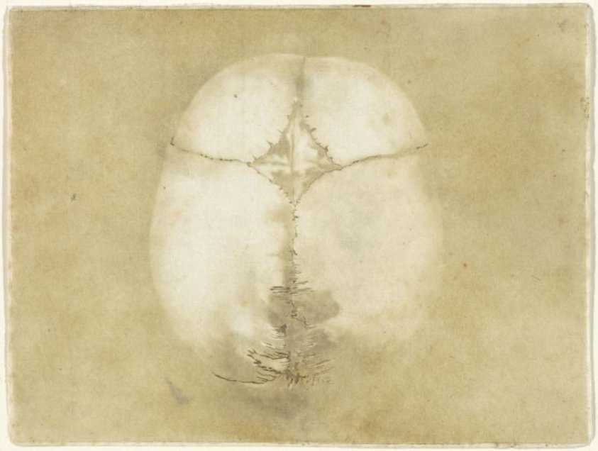 Prints of the Brain and the Heart