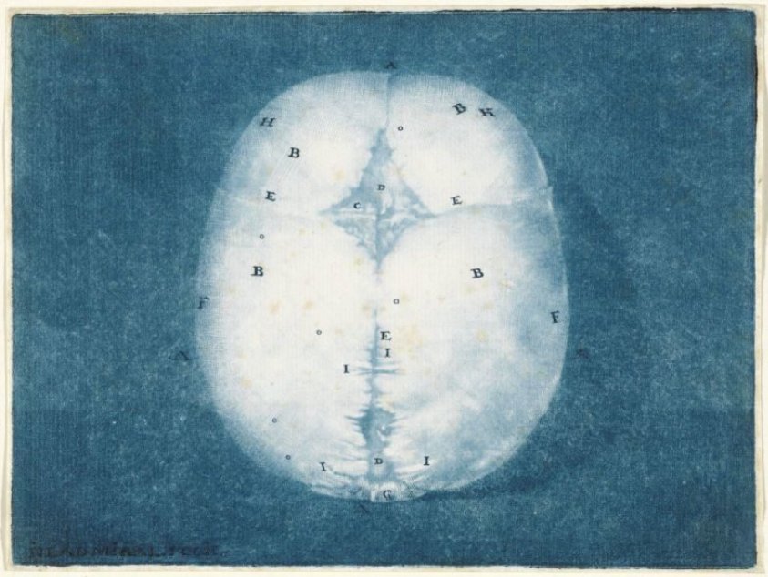 Prints of the Brain and the Heart