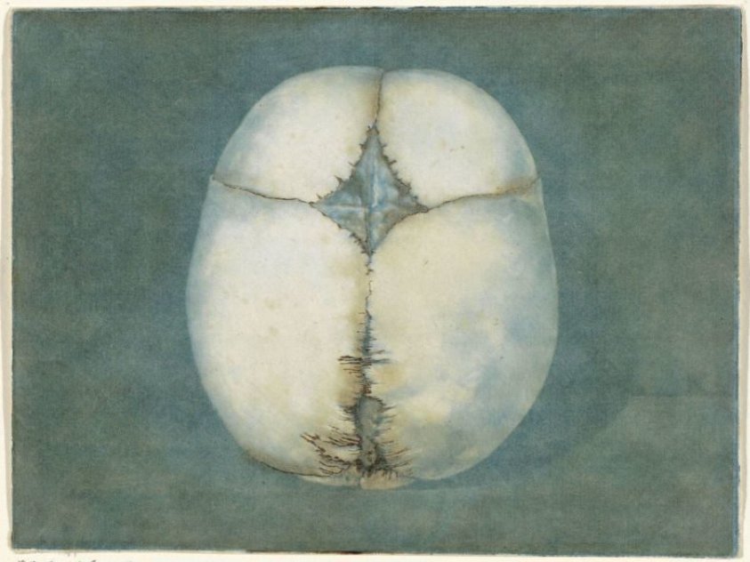 Prints of the Brain and the Heart