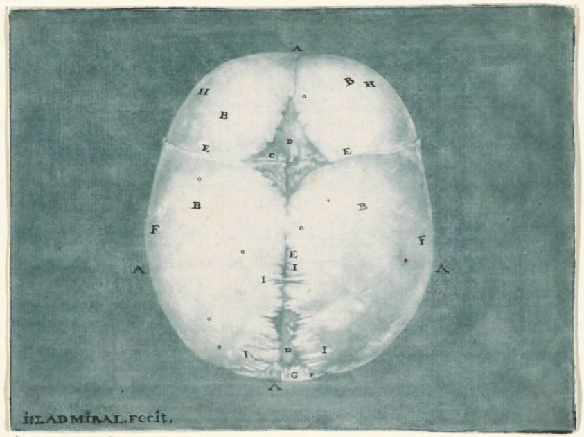 Prints of the Brain and the Heart
