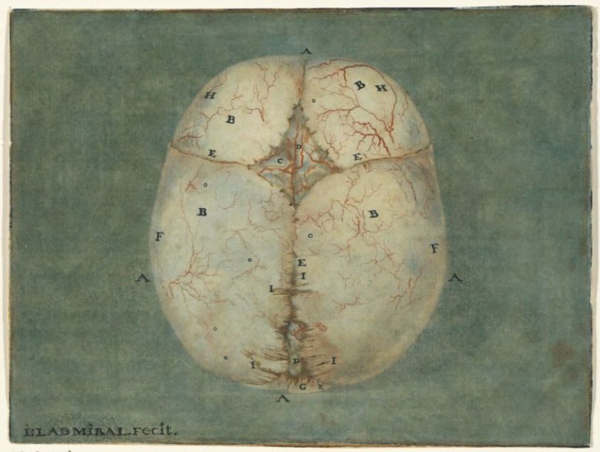 Prints of the Brain and the Heart