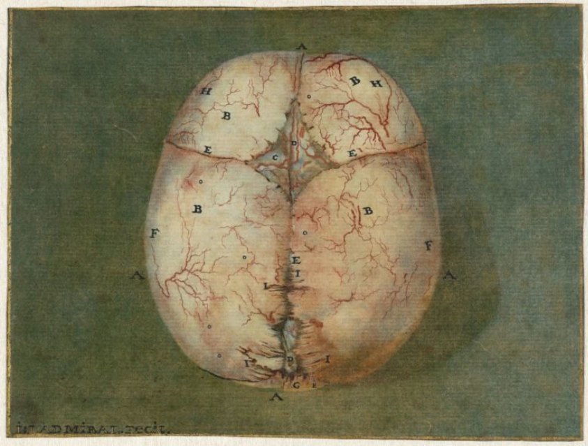 Prints of the Brain and the Heart