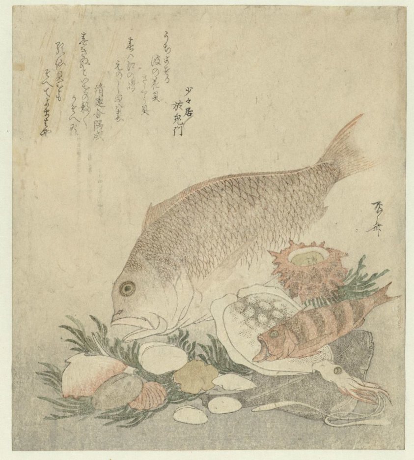 Fish and Shells