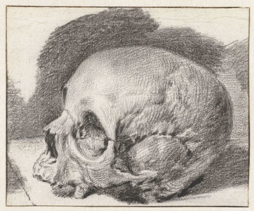 Study of a Skull, Facing Left