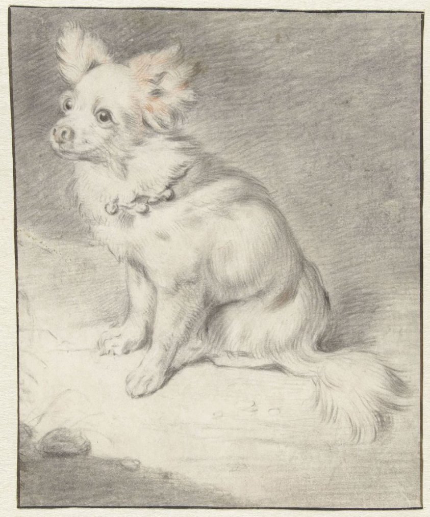 Seated Dog