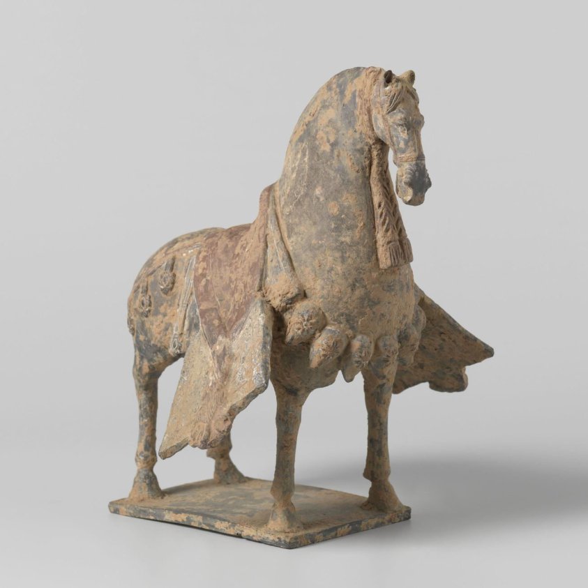 Saddled Horse