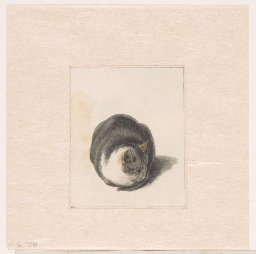 Seated Cat, Seen from the Front