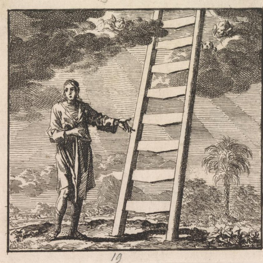 De Schadelyke Wens