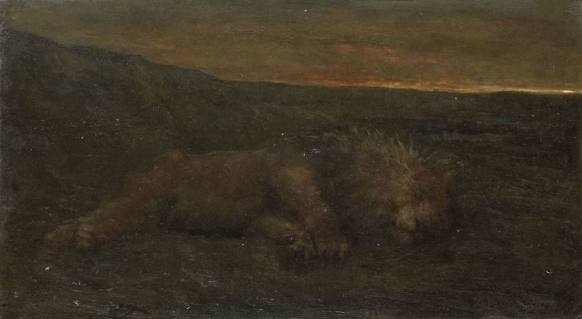 Sleeping Lion by Night