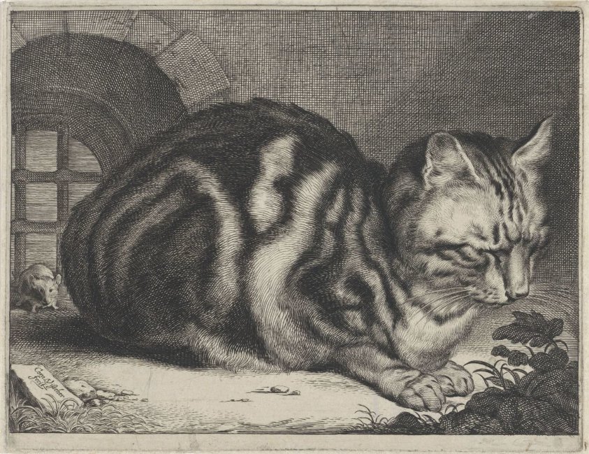 The Large Cat