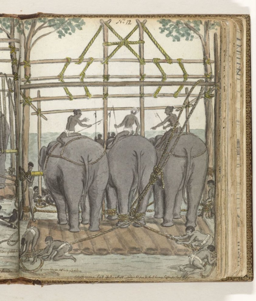 Taming a Wild Elephant in the Temporary Stable, rear view