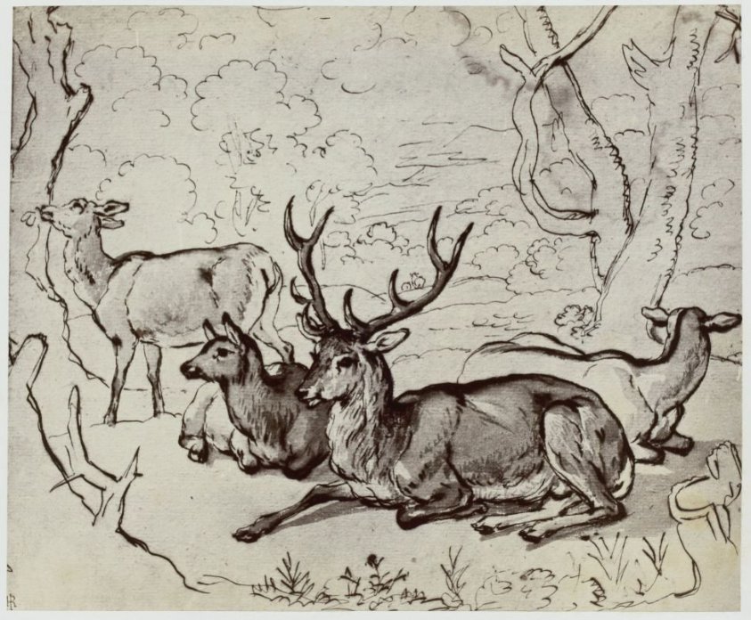 Ridinger, A Deer
