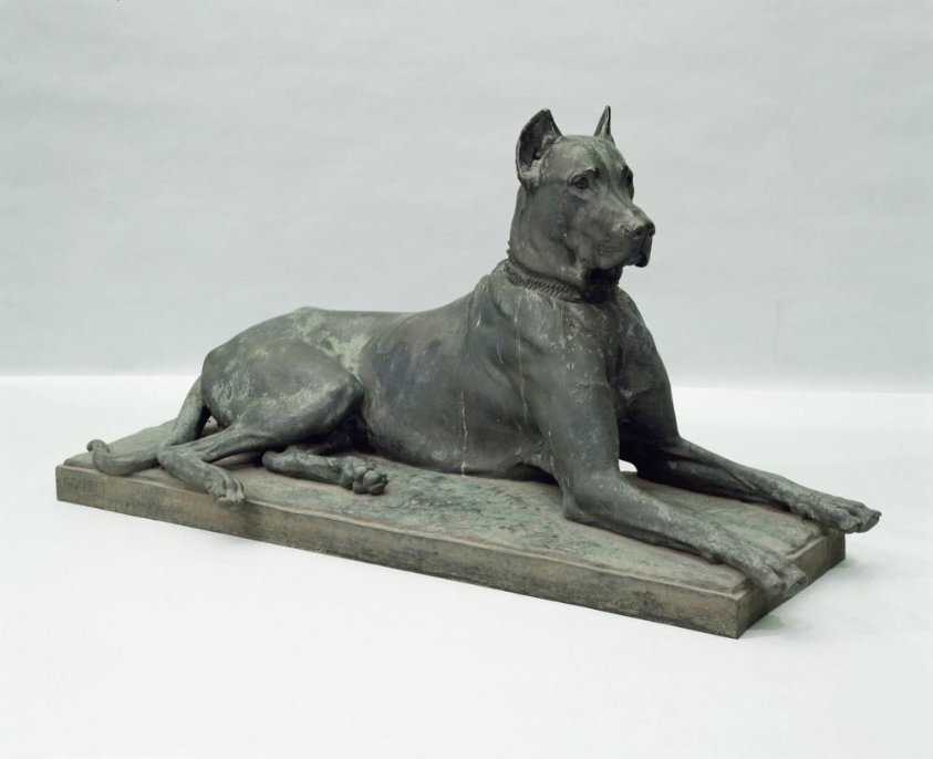 Deense dog