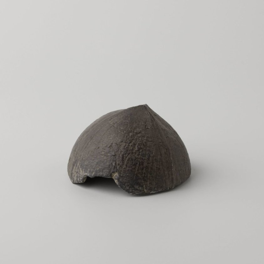 Half coconut shell from the wreck of the Dutch East India ship Witte Leeuw