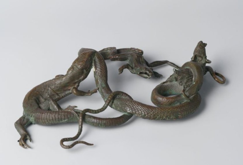 Snake, lizard, frog and mouse