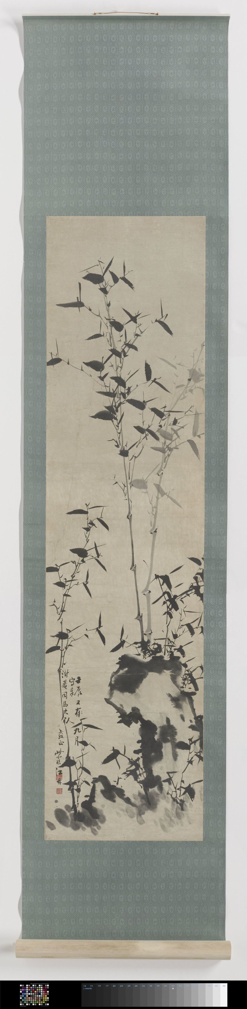 Bamboo