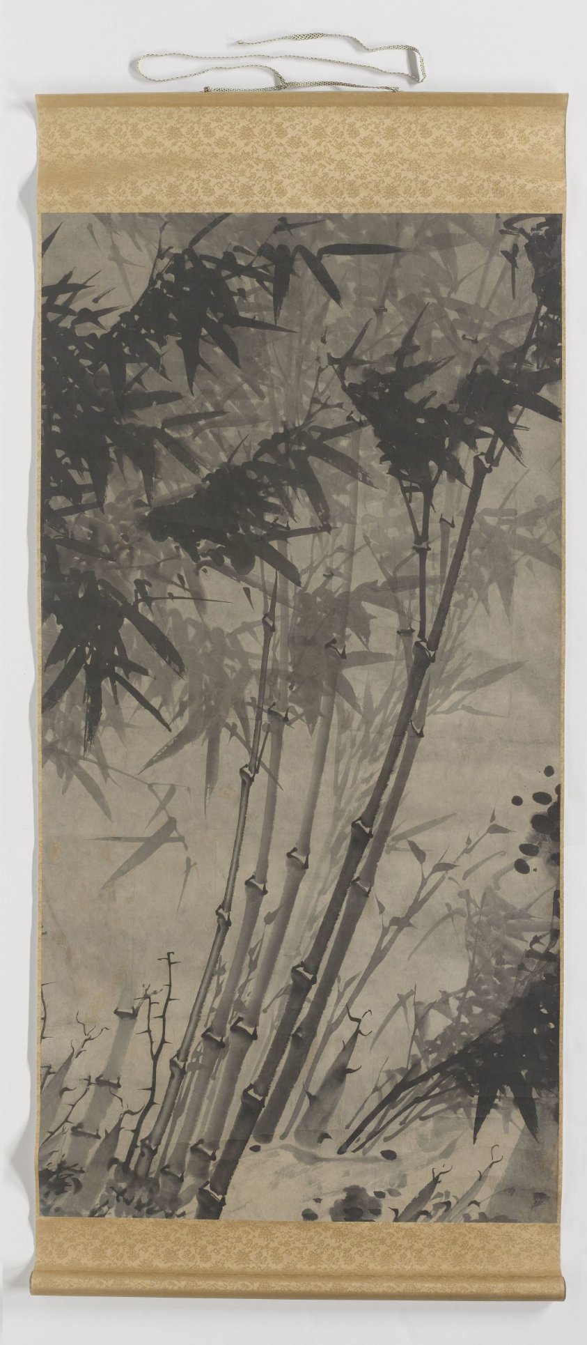Bamboo