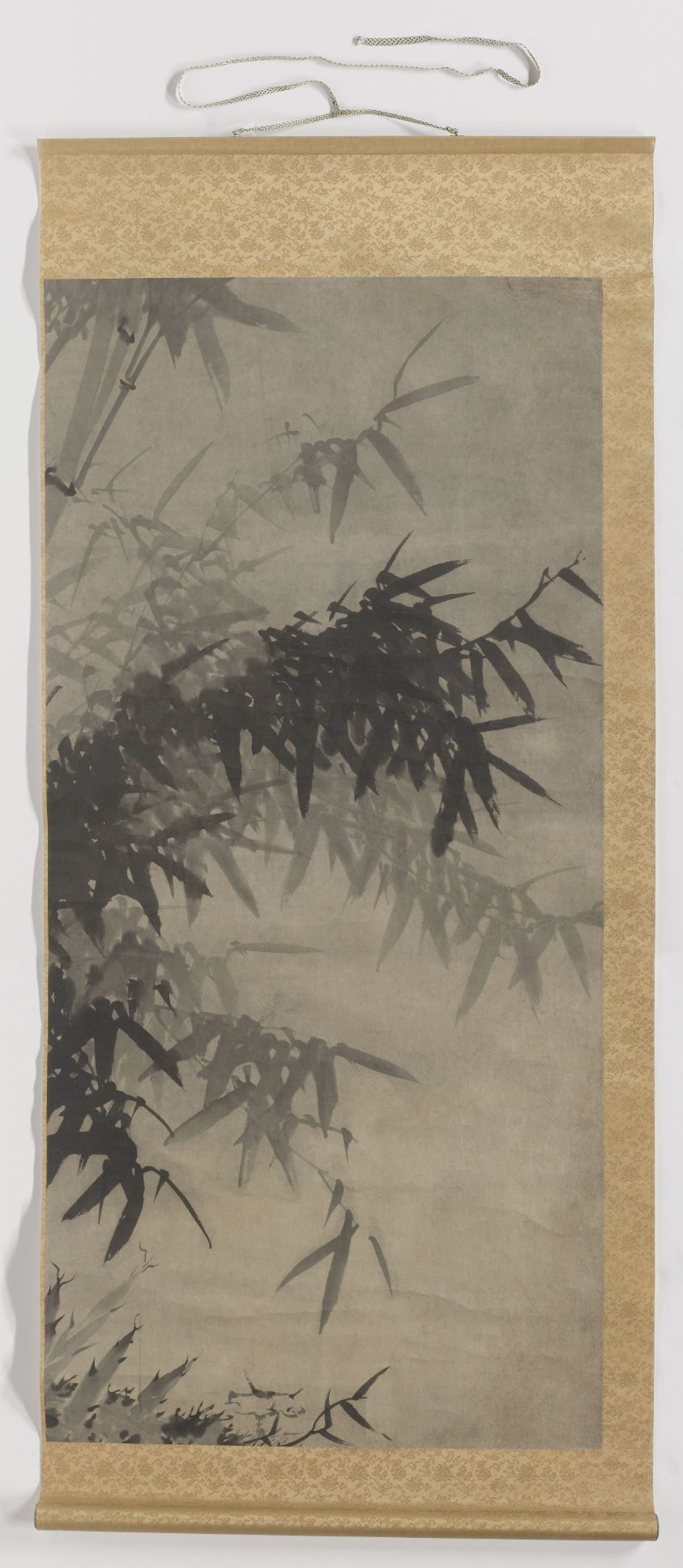 Bamboo
