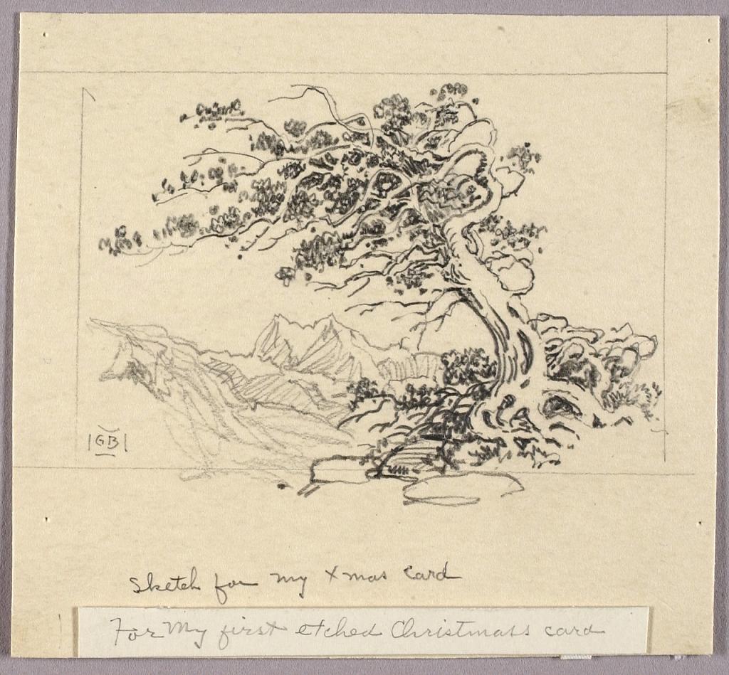Sketch for Christmas Card (Windswept Pine [no. 1])