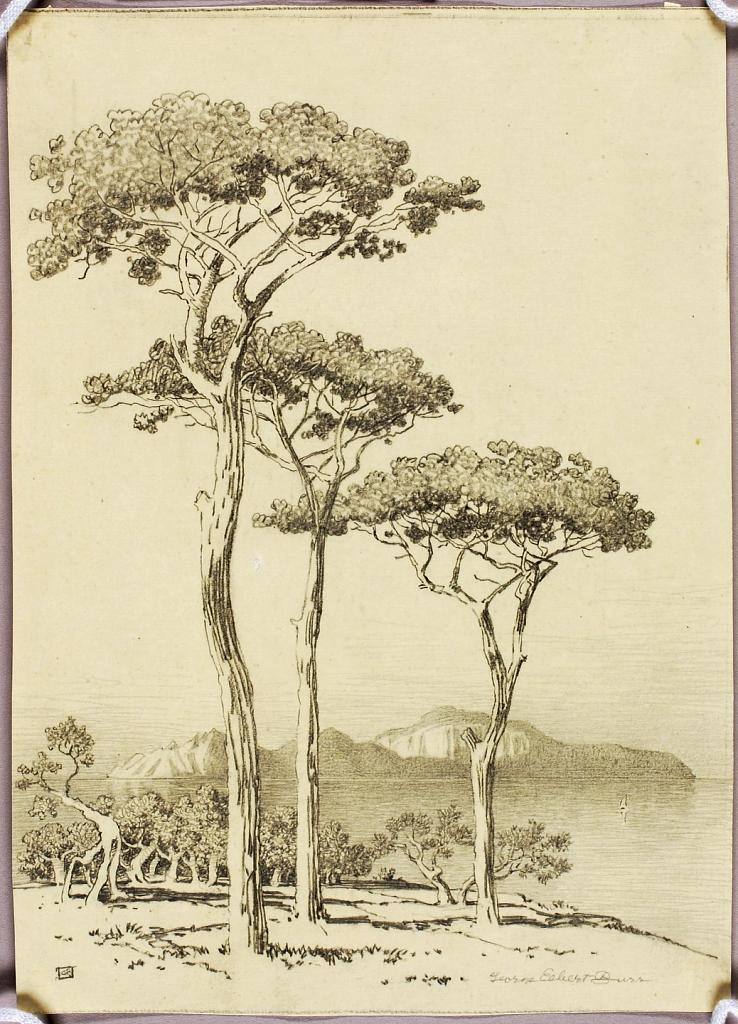 Untitled (transfer drawing for Capri from Sorrento)