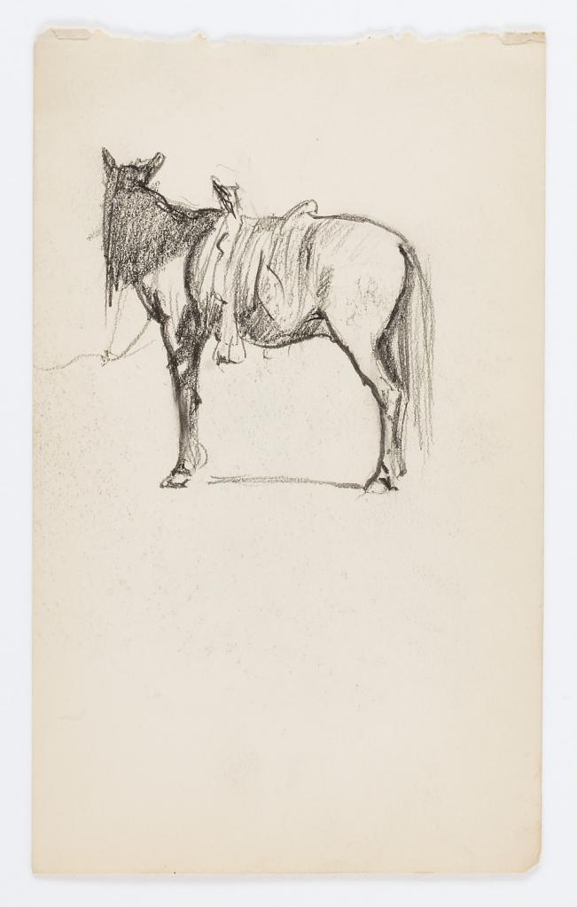 Untitled (Horse)