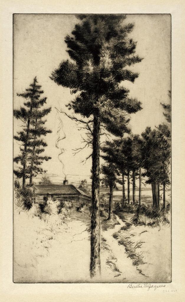 Cabin in Wilderness
