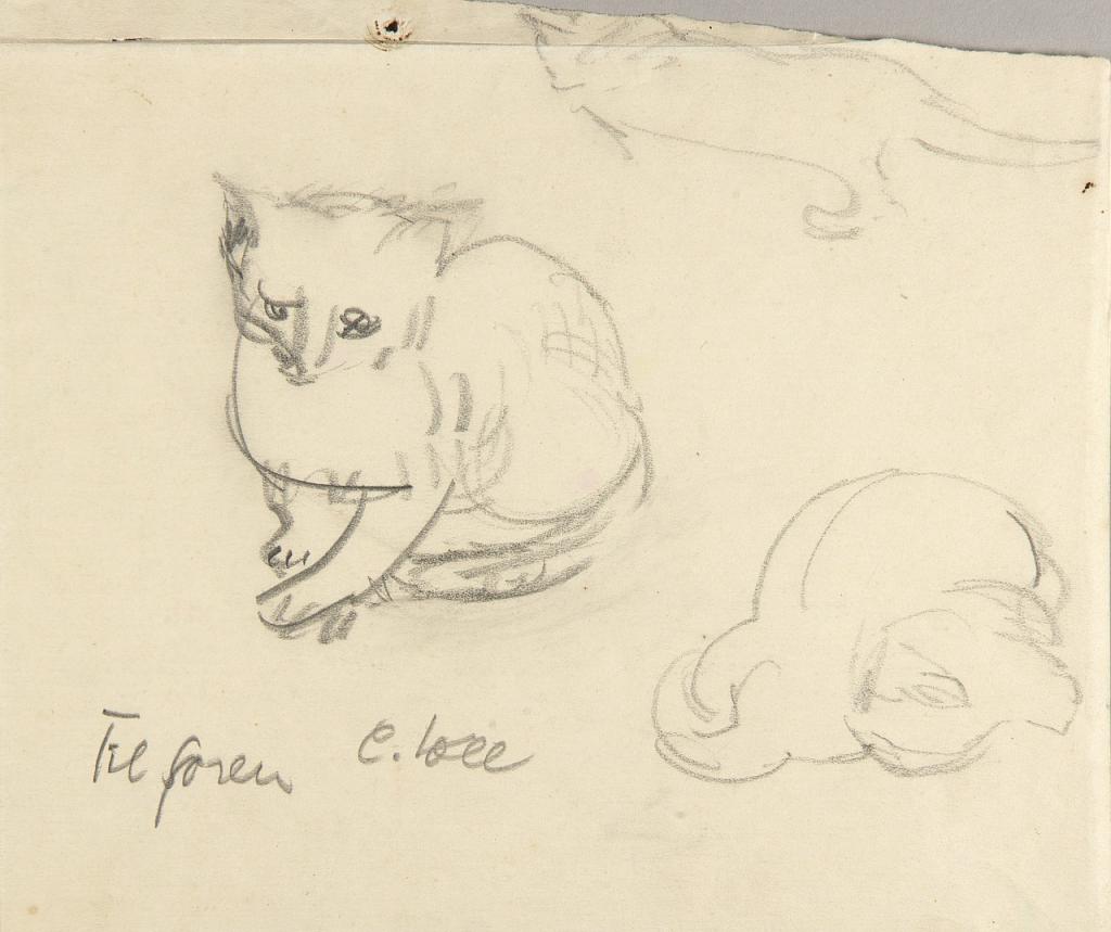 Cats