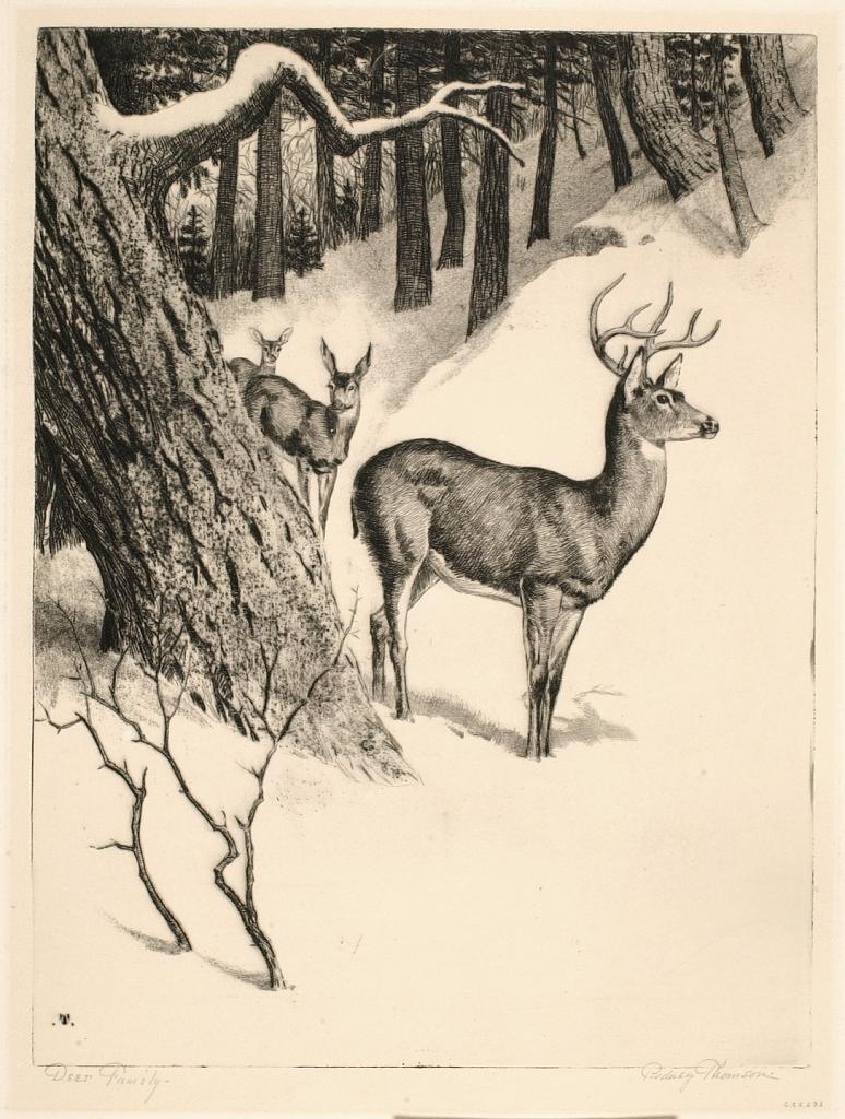 Deer Family