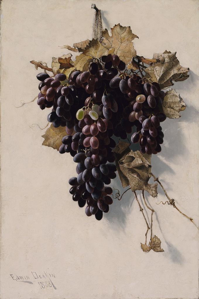 Still Life with Grapes