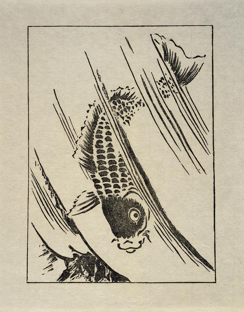Ipswich Prints: Fish leaping a waterfall