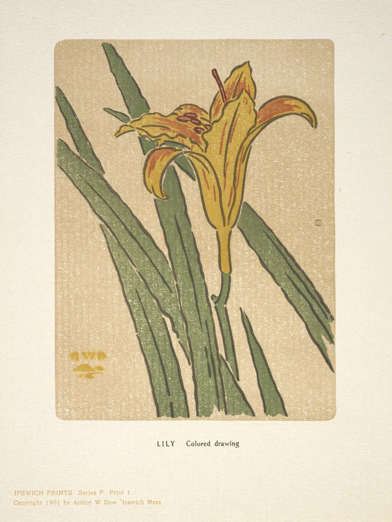 Ipswich Prints: Lily
