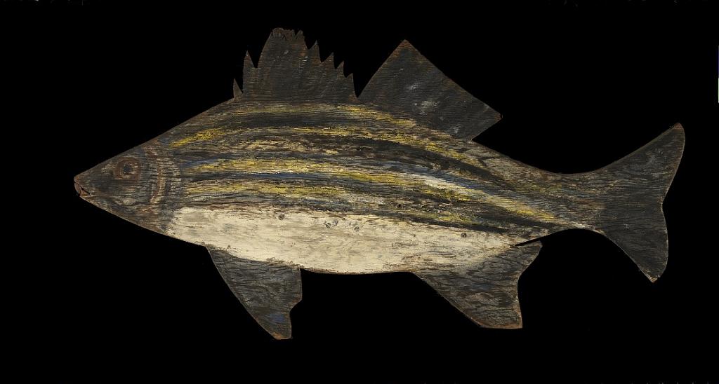 Fish