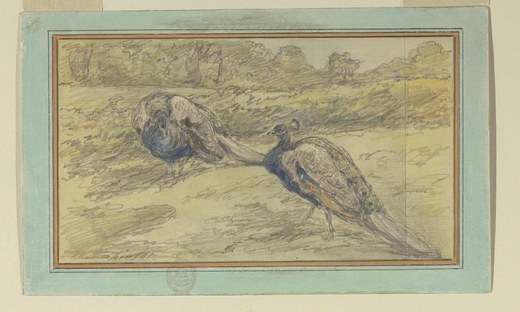 Two Peacocks in a Landscape