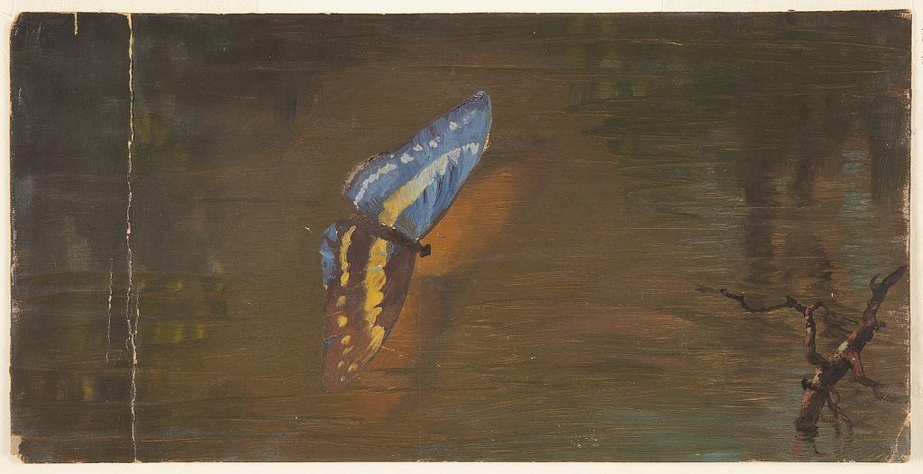 Butterfly over Water