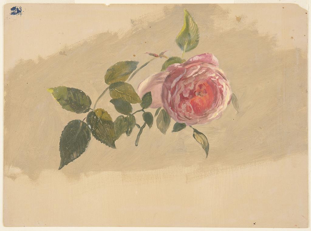 A Rose Bough